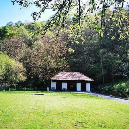 Mateo Transalpina Săsciori Exterior foto